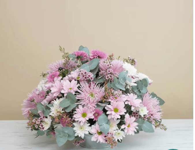 Aura Rosée - Photo 1