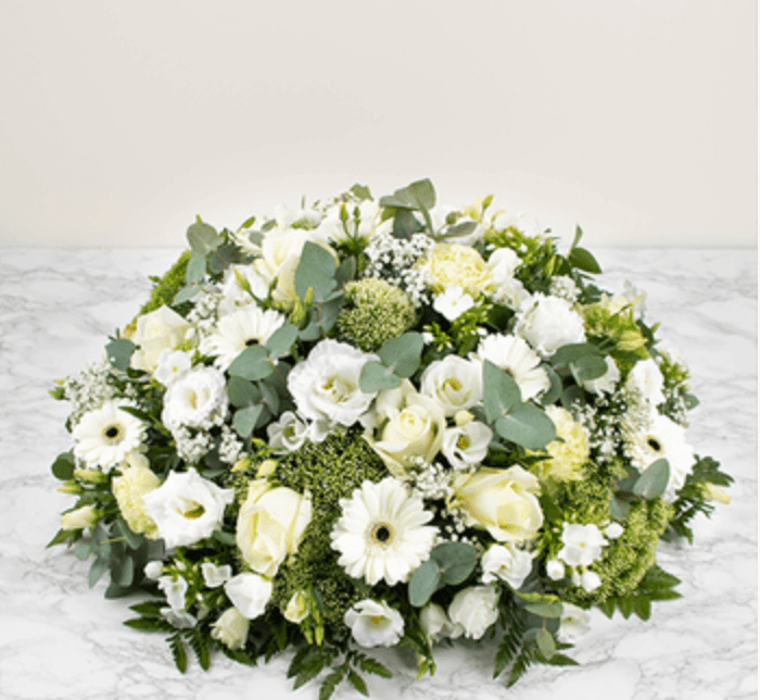 Lumière Céleste - Photo 1