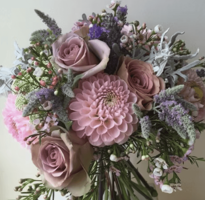 Velours Pourpre - Photo 1